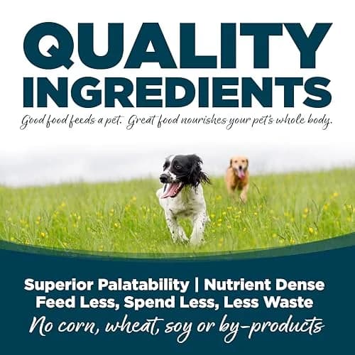 NutriSource Adult Chicken & Rice Small Bites Dog Food 4lb | Supports Gut & Coat Health thumbnail 4