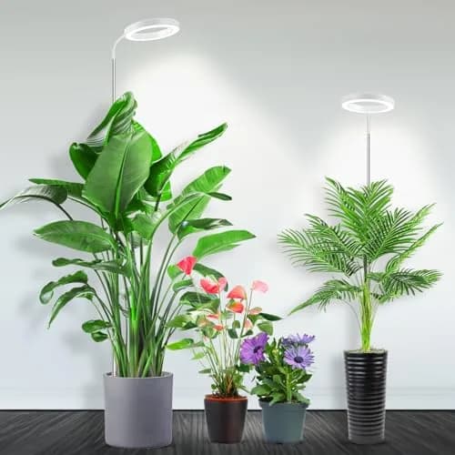 Garpsen Full Spectrum LED Grow Light with Gooseneck, 2-Pack, 65cm (25.6") Height | For Large Indoor Plants thumbnail 1