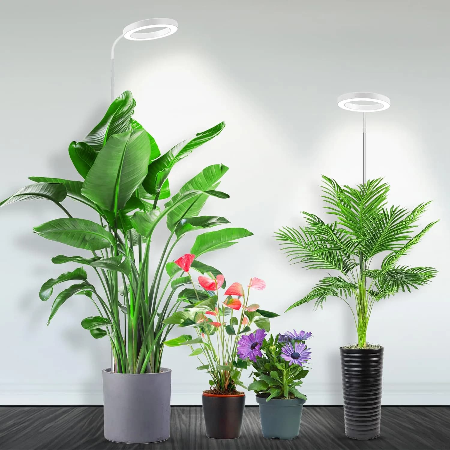 Garpsen Full Spectrum LED Grow Light with Gooseneck, 2-Pack, 65cm (25.6") Height | For Large Indoor Plants
