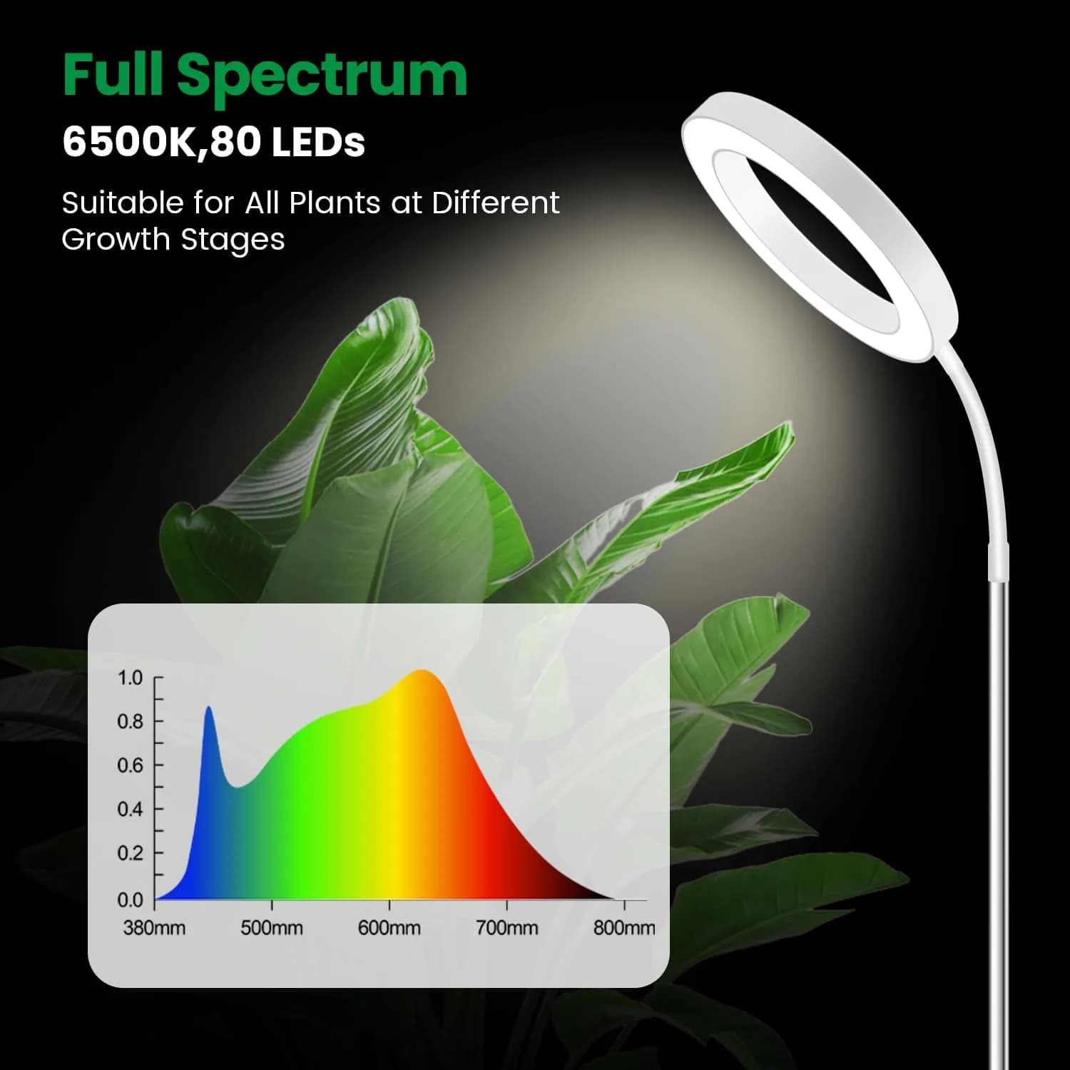 Garpsen Full Spectrum LED Grow Light with Gooseneck, 2-Pack, 65cm (25.6") Height | For Large Indoor Plants - view 3