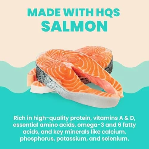 almo nature HQS Hydration Help - Wet Cat Food Salmon Broth with Salmon Fillet, Flake & Broth, 1.77oz Pack of 12 | Supports Hydration & Urinary Health thumbnail 4