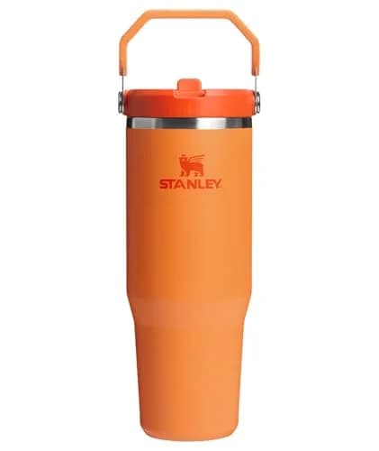 STANLEY IceFlow 2.0 Flip Straw Tumbler 30 oz - Goldenrod Coral - main product image