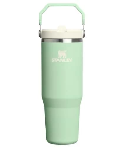 STANLEY IceFlow 2.0 Flip Straw Tumbler, 30 oz, Pistachio - Sip Faster, Spill Less - main product image