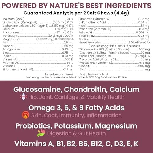 Chew + Heal Labs Senior Dog Multivitamin 120 Soft Chews | Supports Joints, Gut & Skin thumbnail 2