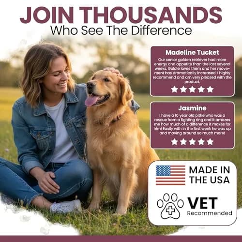 Chew + Heal Labs Senior Dog Vitamins & Supplements 60 Soft Chews | Multivitamin for Aging Dogs thumbnail 4