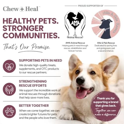 Chew + Heal Labs Senior Dog Vitamins & Supplements 60 Soft Chews | Multivitamin for Aging Dogs thumbnail 7