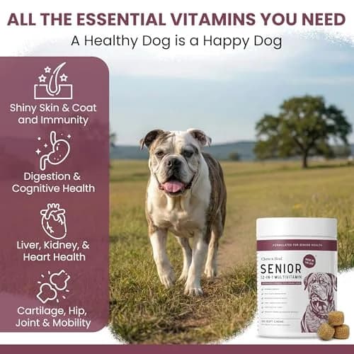 Chew + Heal Labs Senior Dog Vitamins & Supplements 60 Soft Chews | Multivitamin for Aging Dogs thumbnail 3