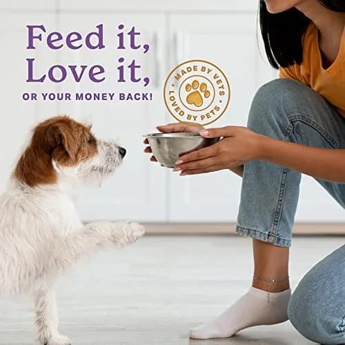 The Missing Link Senior Superfood Supplement Powder, Dogs, 1 lb (2pk) | Supports Bone, Skin, Brain & Memory thumbnail 6