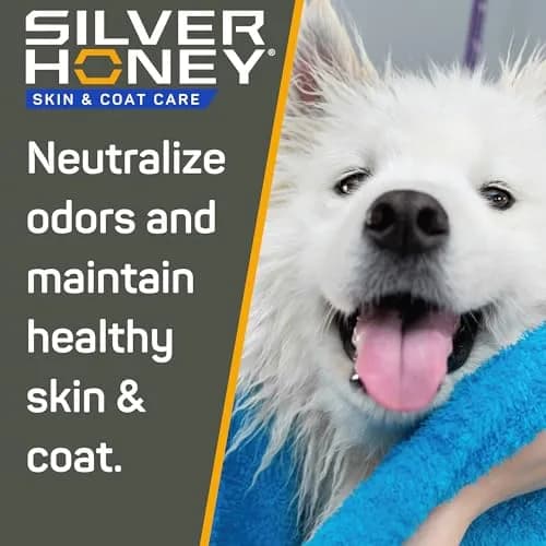Silver Honey Skin & Coat Care Nourish & Soothe Shampoo 16 fl oz | Gentle, pH-Balanced, Odor Neutralizer for Dogs & Cats thumbnail 4