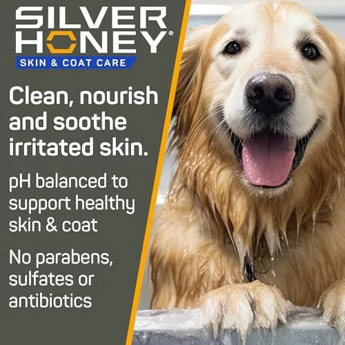 Silver Honey Skin & Coat Care Nourish & Soothe Shampoo 16 fl oz | Gentle, pH-Balanced, Odor Neutralizer for Dogs & Cats thumbnail 2