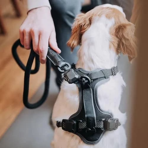 HOOZA Rope Leash Small 5/8" x 5' Blue Magnetic Quick Clip | Heavy-Duty Control & Seamless Attachment thumbnail 8