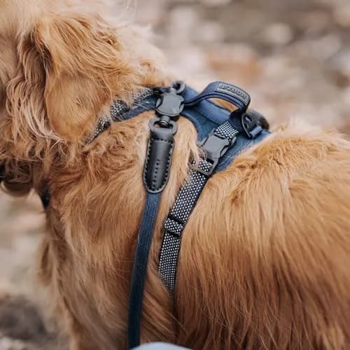 HOOZA Rope Leash Small 5/8" x 5' Blue Magnetic Quick Clip | Heavy-Duty Control & Seamless Attachment thumbnail 3