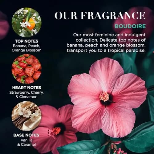 Baylis & Harding Boudoire Gift Set for Women | Tropical Paradise Fragrance, 6 Items, Vegan & Cruelty-Free thumbnail 4