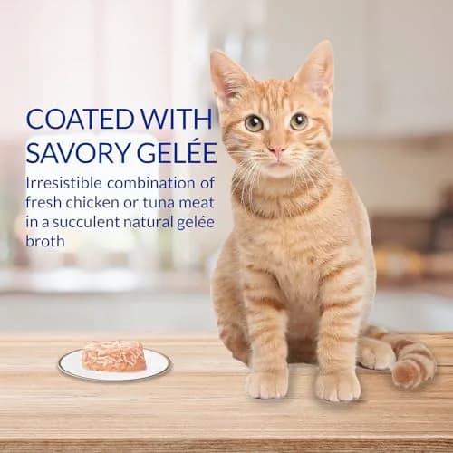 INABA Twins for Cats Tuna & Chicken with Scallop Recipe, 29.52ml (1.23 Fl Oz) per Serving | Hydrating Low-Calorie Cat Treat thumbnail 3