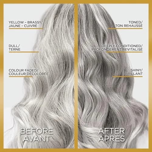 L'Oreal Paris Le Color Gloss One Step In-Shower Toning Hair Gloss, Silver, 4 Fl Oz (Pack of 2) | Neutralizes Brass & Boosts Shine thumbnail 2