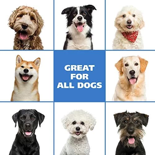 Wahl Pet Friendly Waterless No Rinse Shampoo for Dogs & Cats, Lavender & Chamomile Scented, 14.2 Fl Oz (Pack of 2) | pH Balanced, Alcohol-Free Formula thumbnail 7