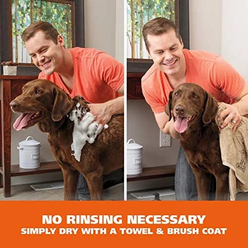 Wahl Pet Friendly Waterless No Rinse Shampoo for Dogs & Cats, Lavender & Chamomile Scented, 14.2 Fl Oz (Pack of 2) | pH Balanced, Alcohol-Free Formula thumbnail 3