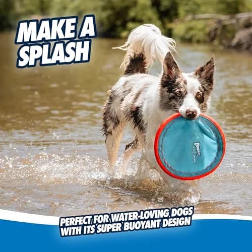 Chuckit! Paraflight Flying Disc Dog Toy - Water Floating Flyer - Durable Nylon with Rubber Edges - Small Size thumbnail 4