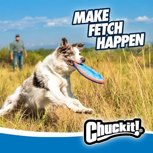 Chuckit! Paraflight Flying Disc Dog Toy - Water Floating Flyer - Durable Nylon with Rubber Edges - Small Size thumbnail 2