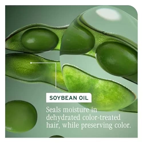 Biolage Color Last Conditioner Refill – For Color-Treated Hair, 16.9 fl oz | Nourishes & Preserves Salon Color thumbnail 8