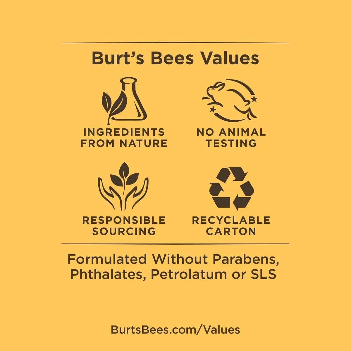 Burt's Bees Mango Lip Balm 0.15 oz (0.44 ml) | Natural Origin Conditioning Treatment - view 5