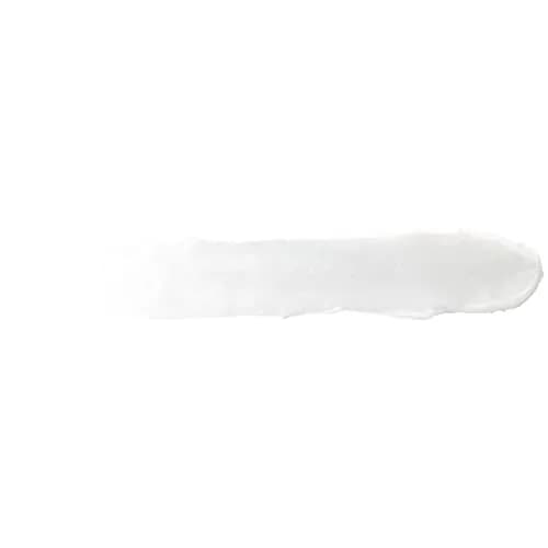 Burt's Bees Mango Lip Balm 0.15 oz (0.44 ml) | Natural Origin Conditioning Treatment thumbnail 8