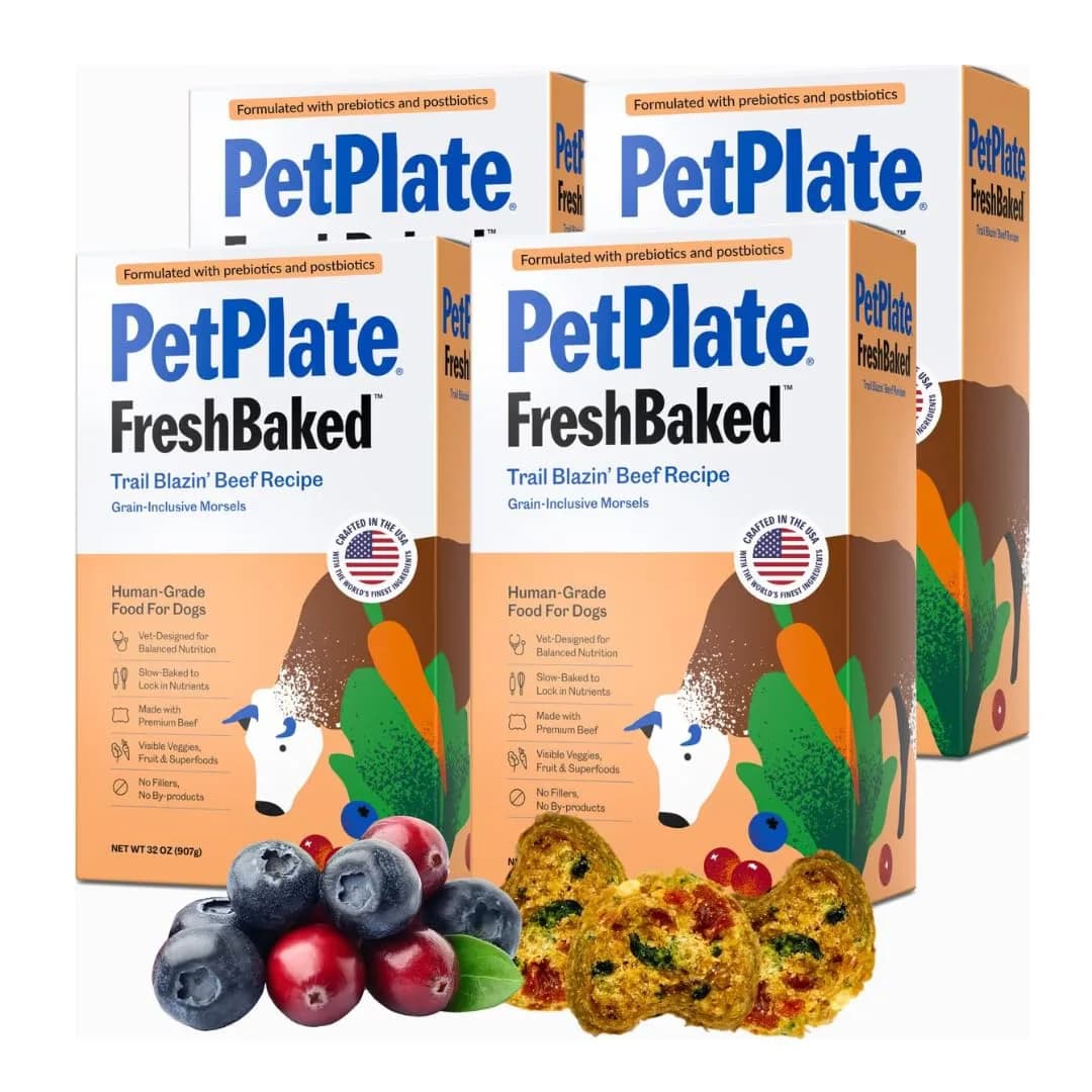 PetPlate Trail Blazin' Beef Air-Dried Dog Food | Human-Grade, Grain-Inclusive, 2lbs — Beef