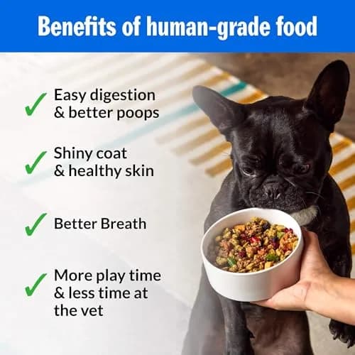PetPlate Trail Blazin' Beef Air-Dried Dog Food | Human-Grade, Grain-Inclusive, 2lbs thumbnail 4