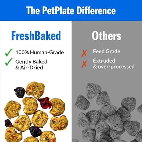 PetPlate Trail Blazin' Beef Air-Dried Dog Food | Human-Grade, Grain-Inclusive, 2lbs thumbnail 6