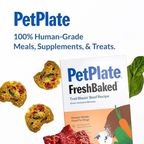 PetPlate Trail Blazin' Beef Air-Dried Dog Food | Human-Grade, Grain-Inclusive, 2lbs thumbnail 8