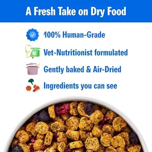 PetPlate Trail Blazin' Beef Air-Dried Dog Food | Human-Grade, Grain-Inclusive, 2lbs thumbnail 2