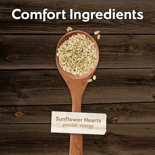 Morning Song Sunflower Hearts & Chips Wild Bird Seed 10 lb | Shell-Free, High-Energy Bird Food thumbnail 4