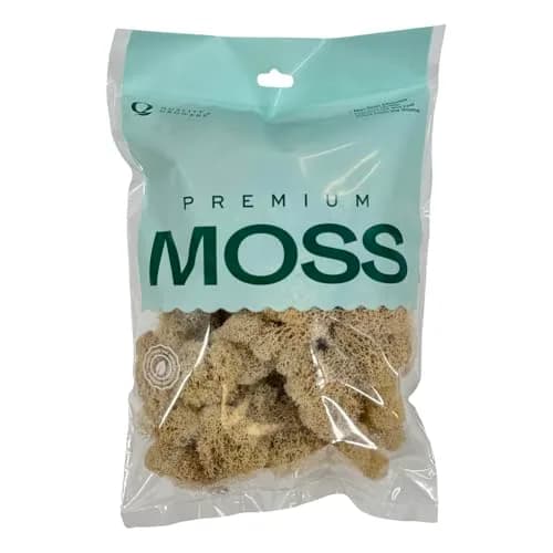 Quality Growers Natural Preserved Reindeer Moss for Crafts, Home Decor, Art, Design & DIY Projects (Medium 1-Pack, 10-12 sq. ft. Coverage) thumbnail 1