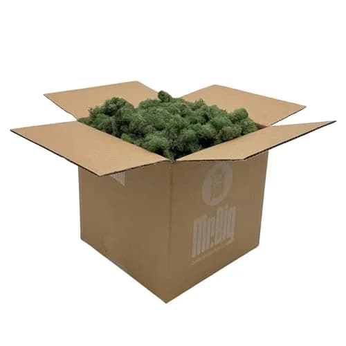 Quality Growers Reindeer Moss Bulk | Preserved Moss for Crafts & Decor, 12 sq. ft thumbnail 1