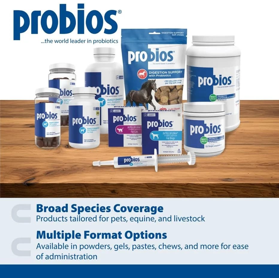 Probios Dog Probiotic Soft Chews, Chicken Liver, 120 Count | Gut & Immune Support for Medium & Large Dogs thumbnail 11