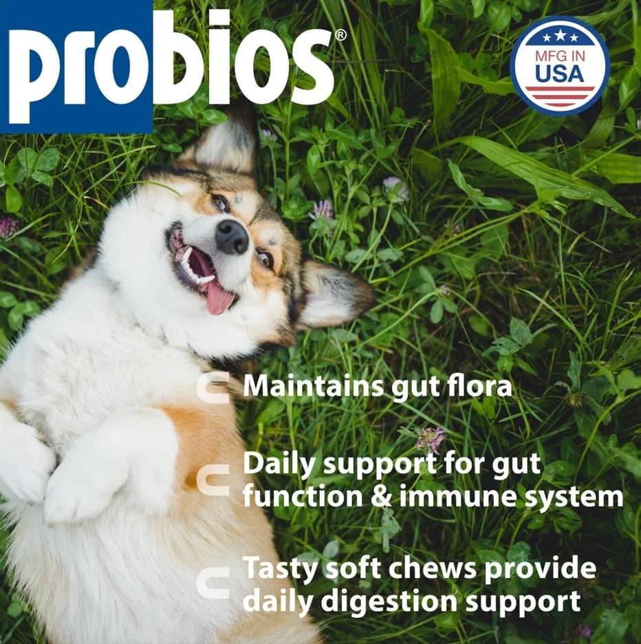 Probios Dog Probiotic Soft Chews, Chicken Liver, 120 Count | Gut & Immune Support for Medium & Large Dogs thumbnail 3