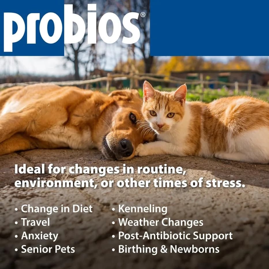 Probios Dog Probiotic Soft Chews, Chicken Liver, 120 Count | Gut & Immune Support for Medium & Large Dogs thumbnail 9