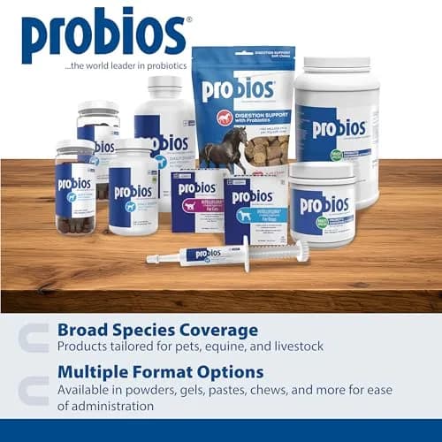 Probios Intelliflora Dog Probiotic Powder 30 Sachets | Shelf-Stable, 200 Million CFU/g, Supports Digestion & Immunity thumbnail 7