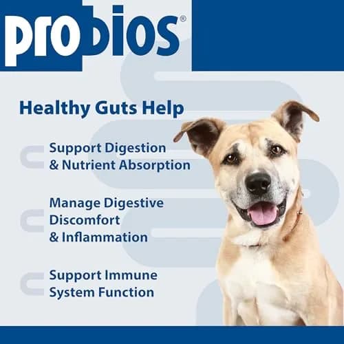 Probios Intelliflora Dog Probiotic Powder 30 Sachets | Shelf-Stable, 200 Million CFU/g, Supports Digestion & Immunity thumbnail 3
