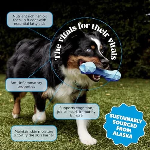 Pet Honesty Omega 3 Fish Oil for Dogs and Cats 16oz (473ml) | Supports Skin, Coat, Joints, and Immunity thumbnail 2
