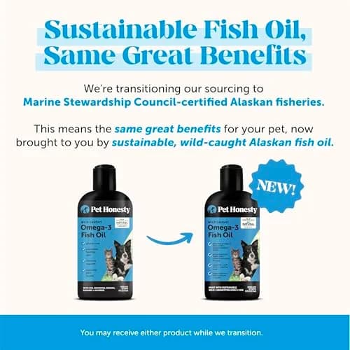 Pet Honesty Omega 3 Fish Oil for Dogs and Cats 16oz (473ml) | Supports Skin, Coat, Joints, and Immunity thumbnail 3