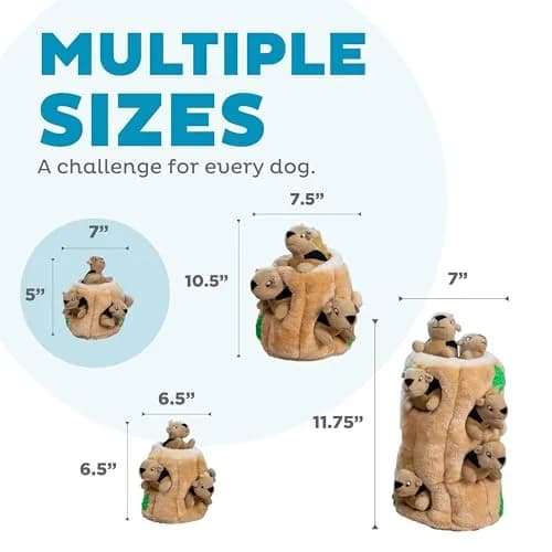 Outward Hound Hide-A-Squirrel Interactive Plush Dog Toy Puzzle with 3 Squeaky Squirrels, Small (Pack of 12) thumbnail 5