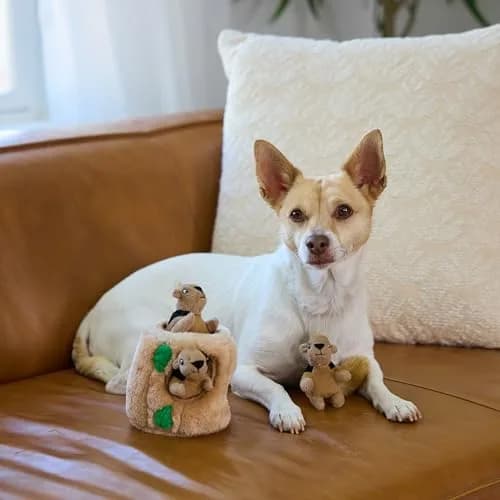 Outward Hound Hide-A-Squirrel Interactive Plush Dog Toy Puzzle with 3 Squeaky Squirrels, Small (Pack of 12) thumbnail 6