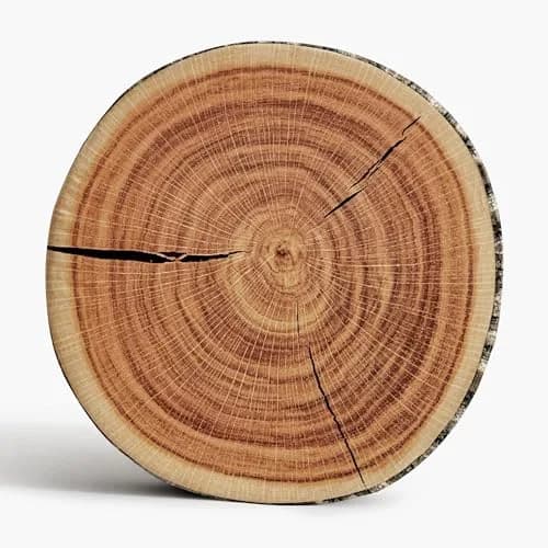 Winter Flower Forest Log Pillow | Realistic 3D Tree Stump Cushion for Cozy Home (1 Pack) thumbnail 1