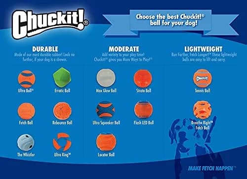 Chuckit! Ultra Squeaker Balls for Dogs, Floating Water Pet Toys, Durable Rubber, Medium (2.5 inch / 6.4 cm) 24 Count | Interactive Fetch Toy thumbnail 4