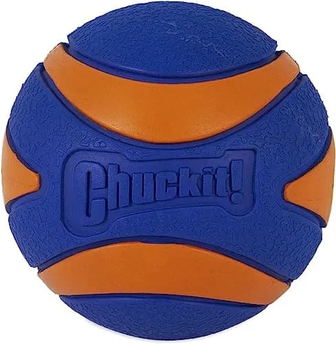 Chuckit! Ultra Squeaker Balls for Dogs, Floating Water Pet Toys, Durable Rubber, Medium (2.5 inch / 6.4 cm) 24 Count | Interactive Fetch Toy thumbnail 2