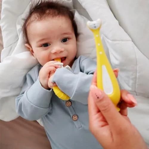 Frida Baby Grow-with-Me Training Toothbrush Set | Infant & Toddler Oral Care for Sensitive Gums thumbnail 4