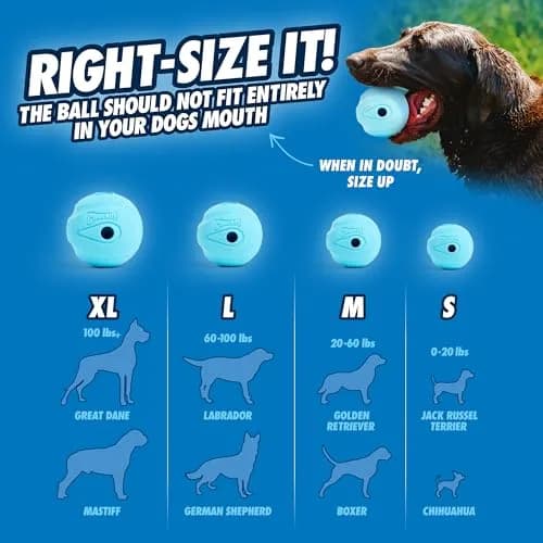 Chuckit! The Whistler Ball Dog Toy, Medium 2.5in | Ultra-Bouncy, Whistling Fetch Toy for Dogs 20-60lbs thumbnail 5