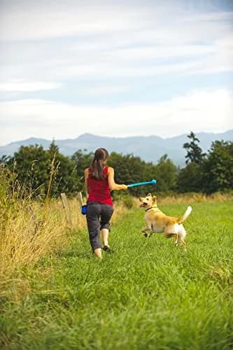 Chuckit! The Whistler Ball Dog Toy, Medium 2.5in | Ultra-Bouncy, Whistling Fetch Toy for Dogs 20-60lbs thumbnail 2
