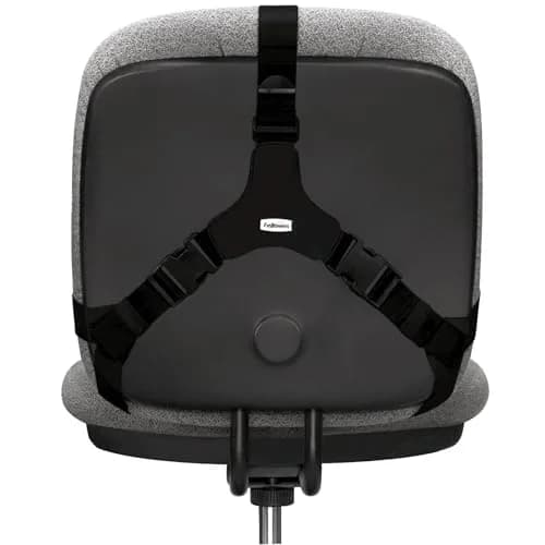 Fellowes Professional Series Back Support, Black | Mid Spinal & Lumbar Support for Chairs (Pack of 2) thumbnail 3